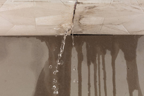 Professional Structural Drying technician working in Yelm, WA